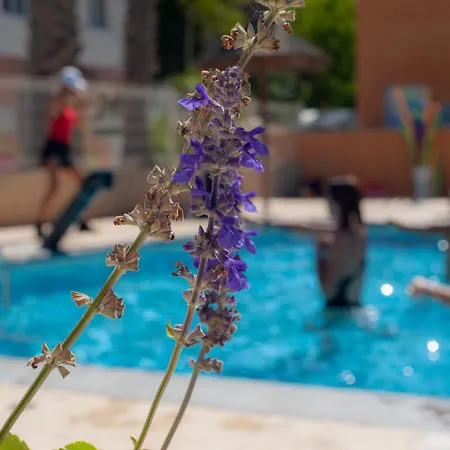 Les Jardins D Agathe *