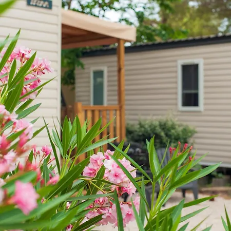 Les Jardins D Agathe *