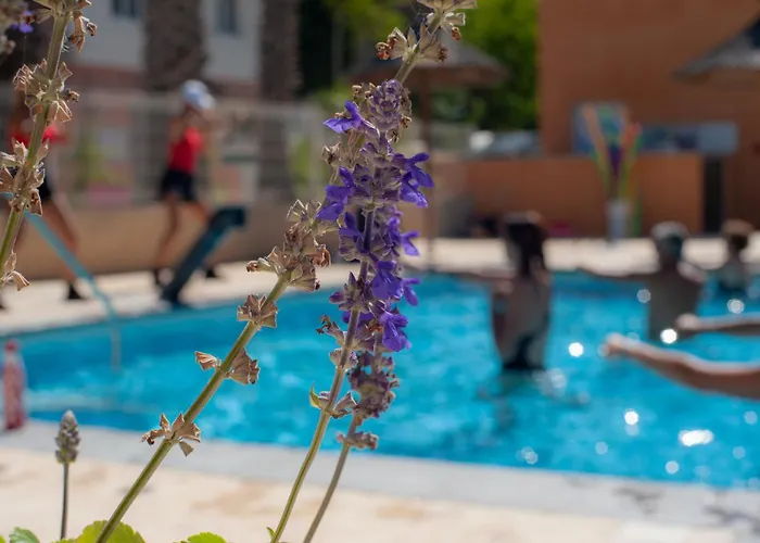Les Jardins D Agathe *