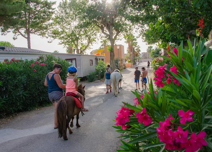 Les Jardins D Agathe * Le Grau-dʼAgde